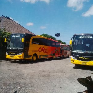 Rental Bus 45 Seat di Bali