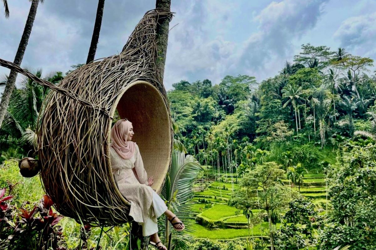 Petualangan Tak Terlupakan di Ubud: Panduan Tour Ubud Lengkap untuk Wisatawan Modern