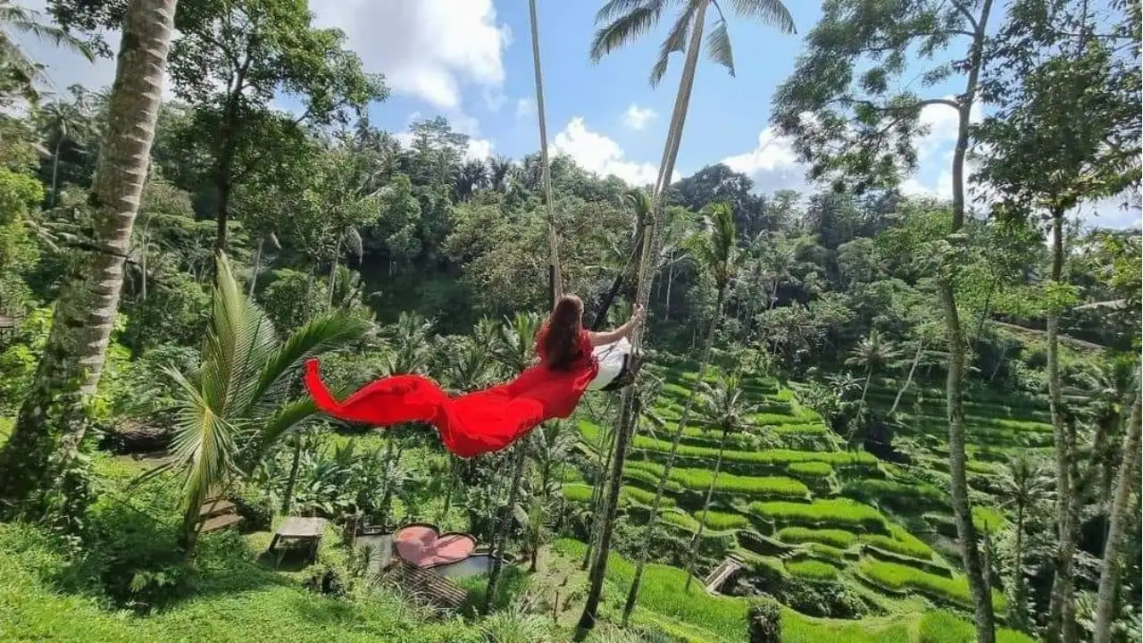 Bongkar Habis! Info Lengkap dan Harga Tiket Bali Swing Ubud Paling Update