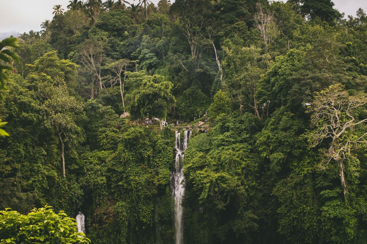 Cek Harga Tiket Air Terjun Sekumpul Terbaru: Surga Tersembunyi Bali Utara Wajib Masuk List!