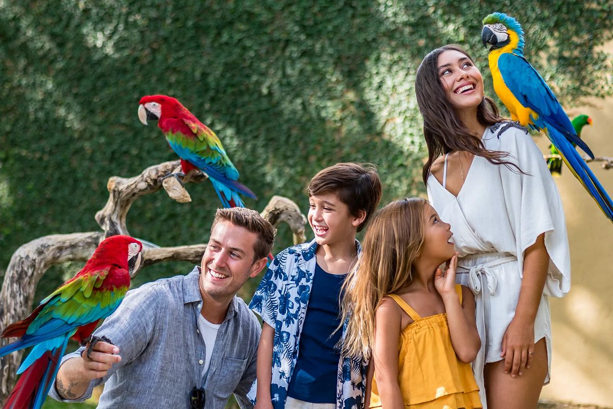 Cek Promo Harga Tiket Bali Bird Park Terbaru: Liburan Seru dan Hemat