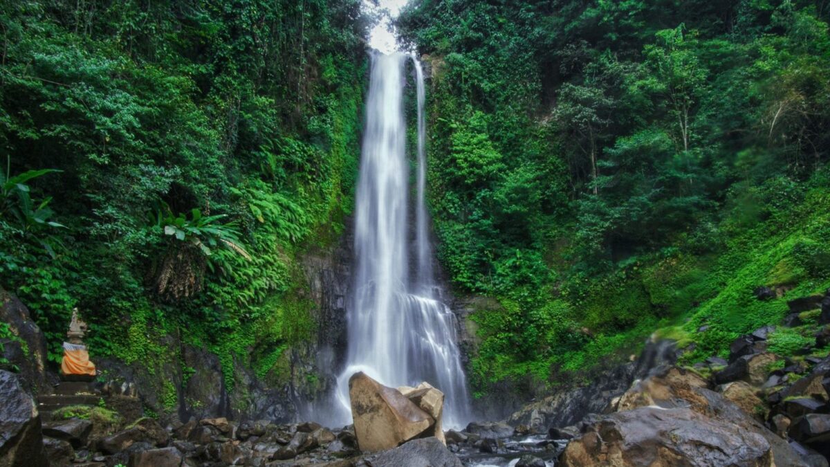 Info Valid! Cek Harga Tiket Air Terjun Gitgit 2026 dan Panduan Wisata Paling Lengkap di Sini