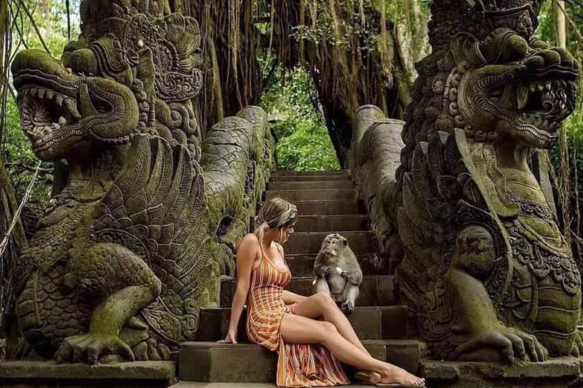 Update! Intip Harga Tiket Ubud Monkey Forest 2026 Terbaru Biar Gak Kaget Pas Liburan